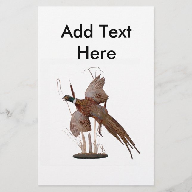 Pheasant Mount (Front)