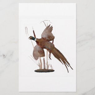 Pheasant Mount