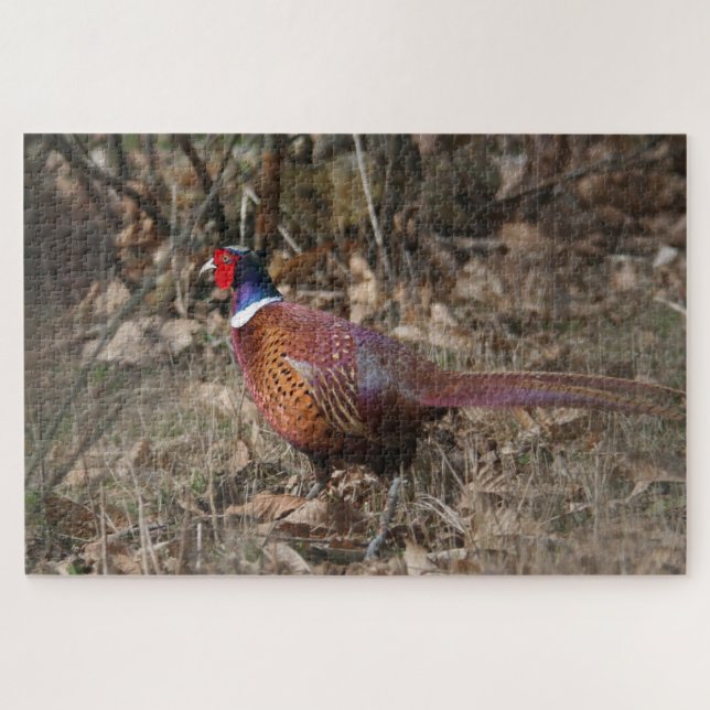 Pheasant Moving Through The Forest Jigsaw Puzzle (Horizontal)