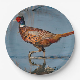 Pheasant Paper Plates