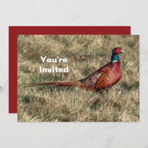 Pheasant Photo Christmas Invitation