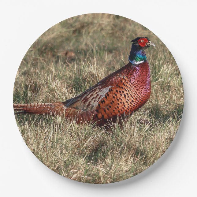 Pheasant Photo Paper Plate (Front)