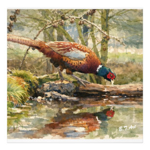Pheasant photo print