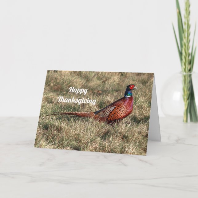 Pheasant Photo Thanksgiving Holiday Card (Front)