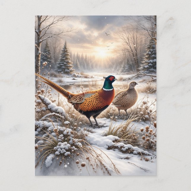 Pheasant  postcard (Front)