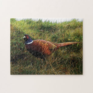 Pheasant Puzzle