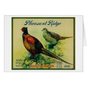 Pheasant Ridge Apple Crate Label