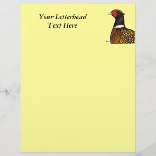Pheasant: Ringneck Head