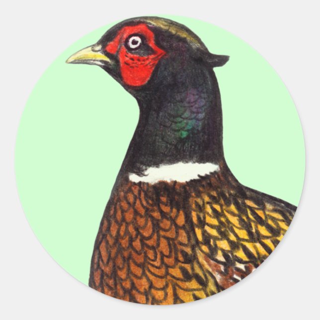 Pheasant:  Ringneck Head Classic Round Sticker (Front)