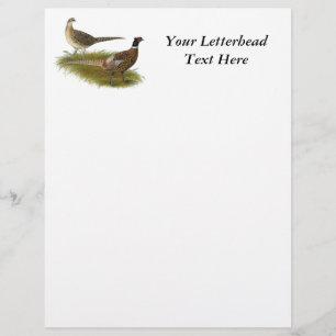 Pheasant: Ringneck Pair