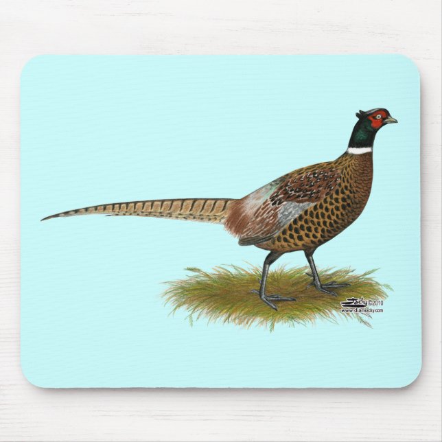 Pheasant Rooster Mouse Mat (Front)