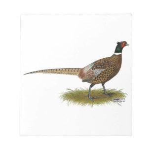 Pheasant Rooster Notepad