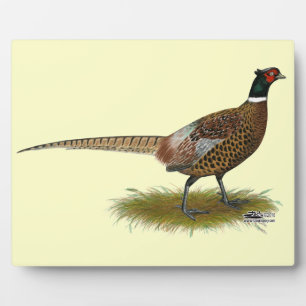 Pheasant Rooster Plaque