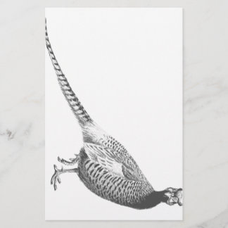 Pheasant Sketch Stationery
