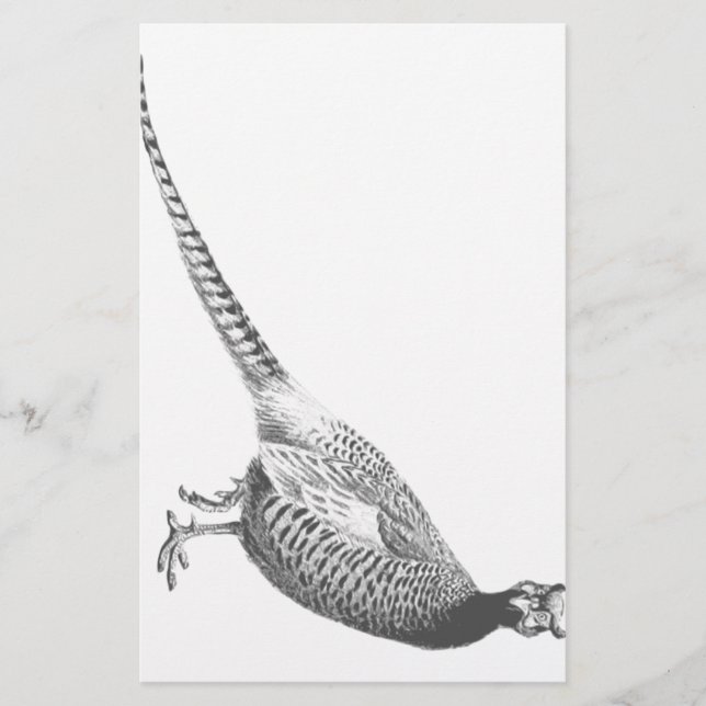 Pheasant Sketch Stationery (Front)