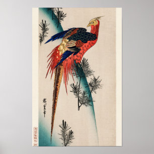 Pheasant & Small Pine by Utagawa Hiroshige Poster