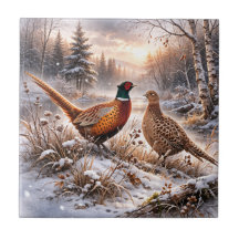 Pheasant 