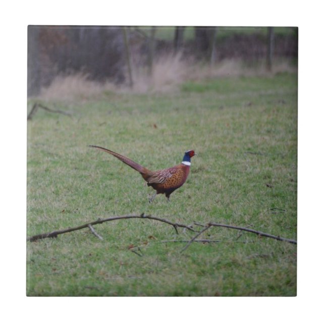 Pheasant Tile (Front)