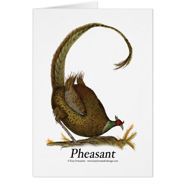 pheasant, tony fernandes (Front)