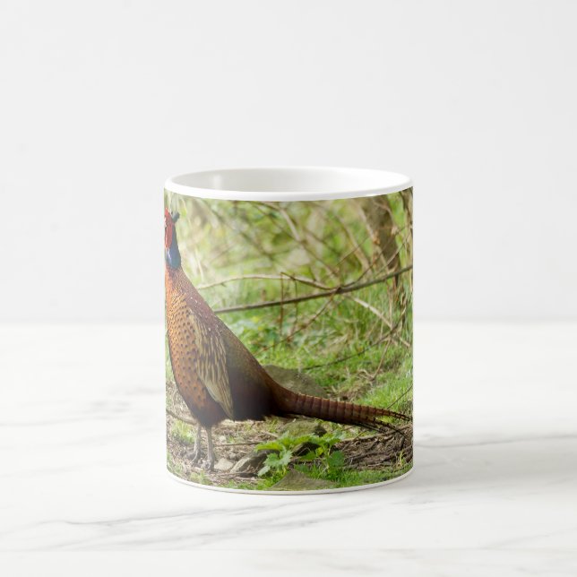Pheasant - Wild Pheasant Mug (Center)