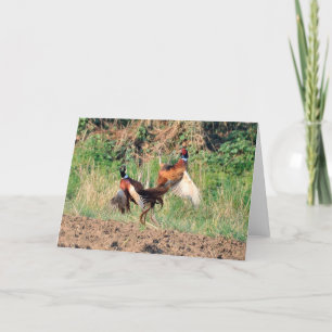 Pheasants fighting greeting card