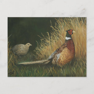 Pheasants in the Field Art Postcard