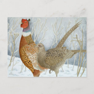 Pheasants in the snow postcard