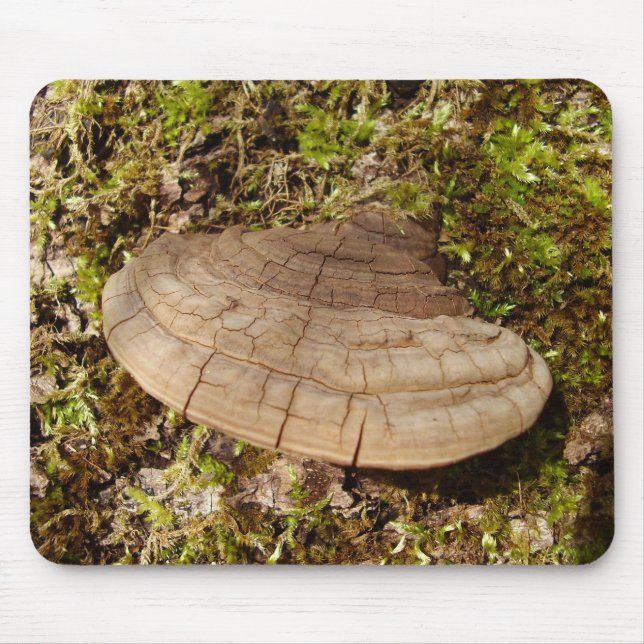 Phellinus igniarius Mushroom Mouse Mat (Front)