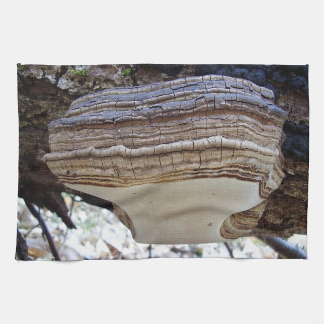 Phellinus igniarius Mushroom Tea Towel (Horizontal)