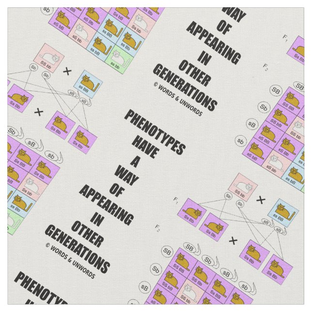 Phenotypes Way Of Appearing Generations Cats Fabric (Close Up)