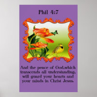 Phil 4:7 Yellow and black canary mockingbird