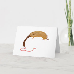 Phil The Anteater Card
