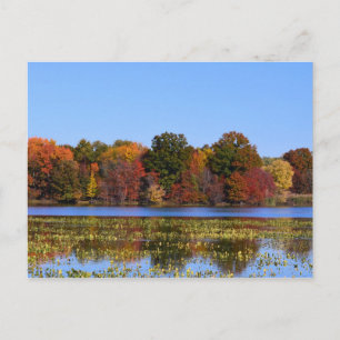 Philadelphia Fall colours Postcard