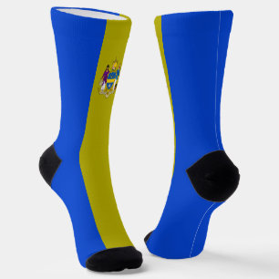 Philadelphia (Pennsylvania) city flag Socks