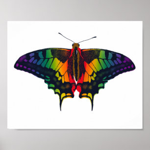 Philadelphia Rainbow Pride Flag Swallowtail Poster