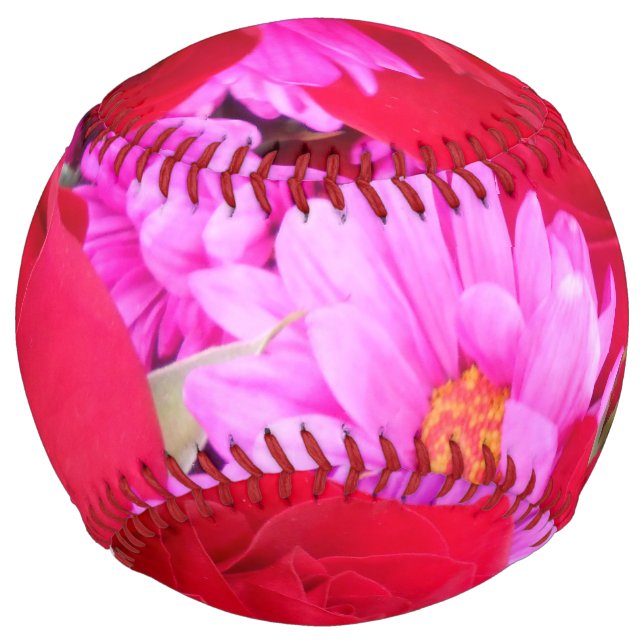 Philippa Softball (Front)