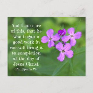 Philippians 1:6 Wildflowers Postcard