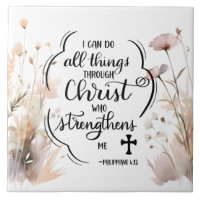 Philippians 4:13 All things through Christ Bible