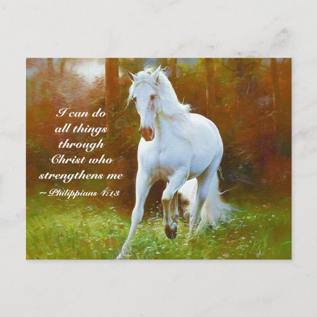 Philippians 4:13 All things through Christ, Horse Postcard (Front)