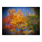 Philippians 4:13 I can do all things Christ Autumn