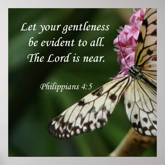 Philippians 4:5 Butterfly Flowers Poster (Front)