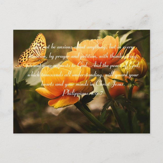 Philippians 4:6-7 Do not Be Anxious Bible Verse Postcard (Front)