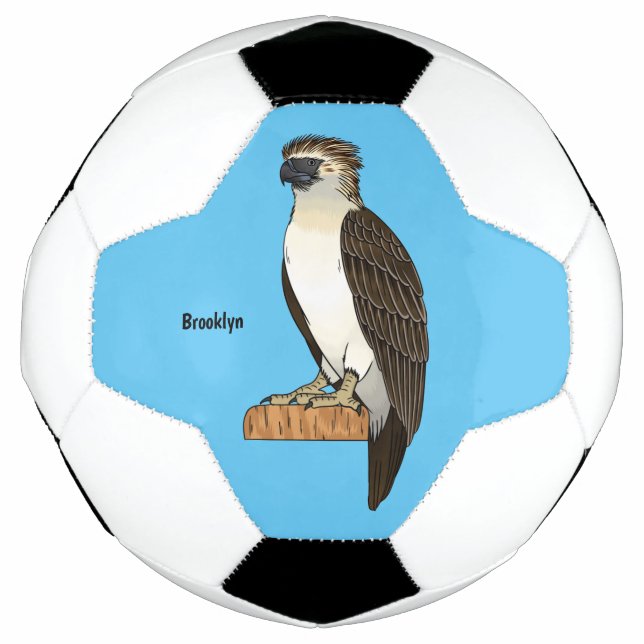 Philippine eagle bird cartoon illustration football (Front)