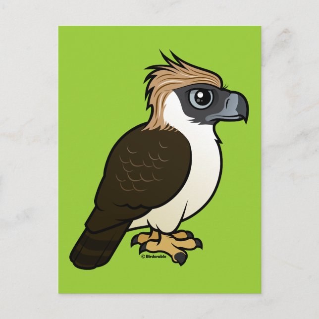 Philippine Eagle Postcard (Front)