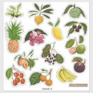 Philippine / Tropical Fruits