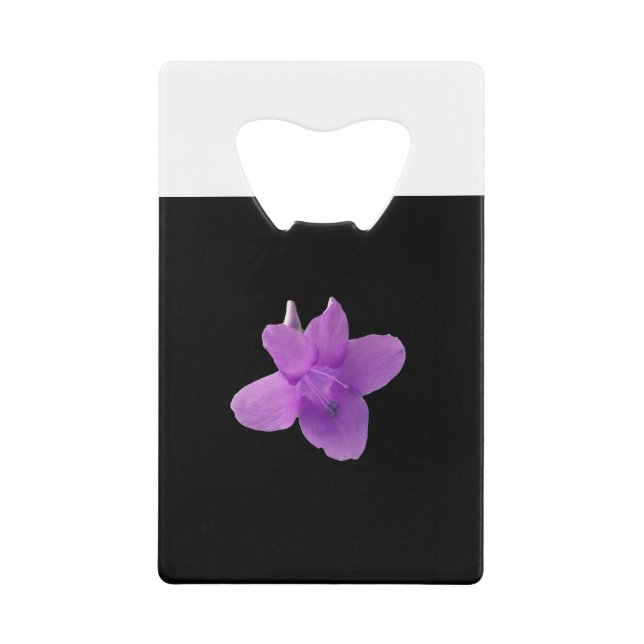 Philippine Violet  on black (Front)