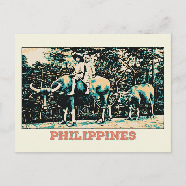 Philippines, kids playing with water buffalos postcard (Front)
