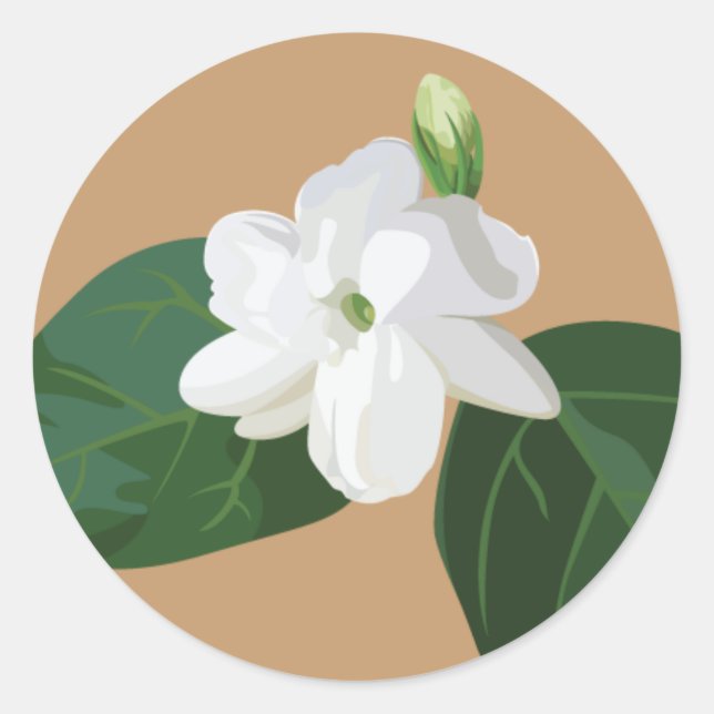 Philippines Series: Sampaguita Flower Classic Round Sticker (Front)