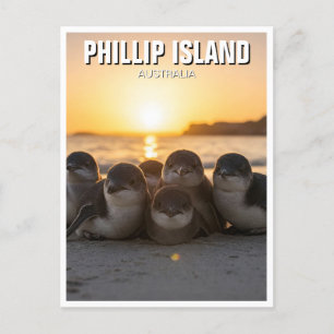 Phillip Island Australia Postcard