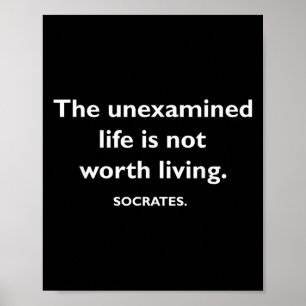 Philosophy, Quote, Funny, Intellectual, Philosophe Poster